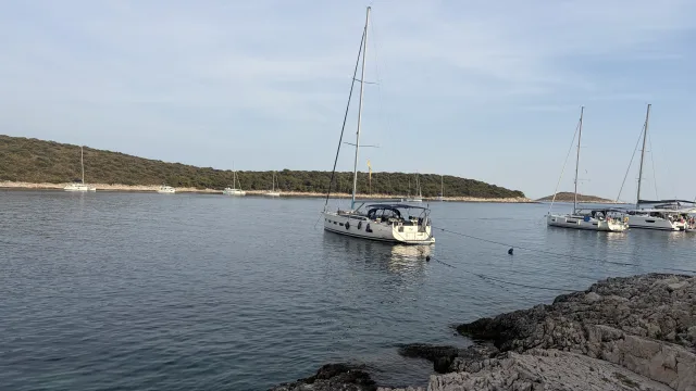IMG 8147