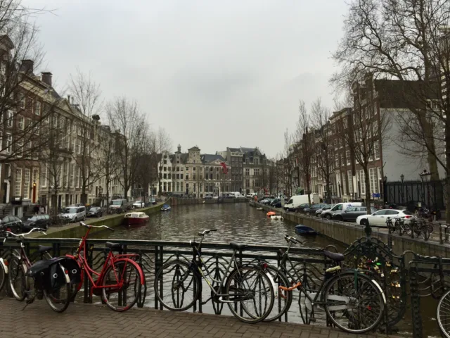 IMG 2510